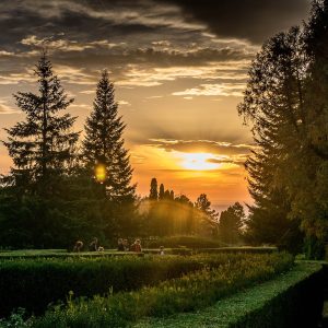 gradina botanica iasi