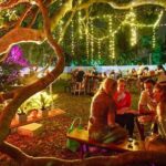 Picnic Nefiresc sub Clar de Luna