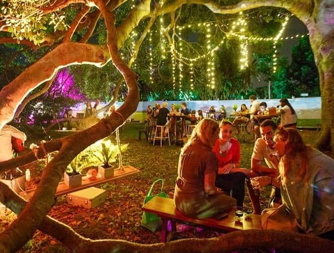 Picnic Nefiresc sub Clar de Luna