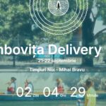 Dâmbovița Delivery 2024
