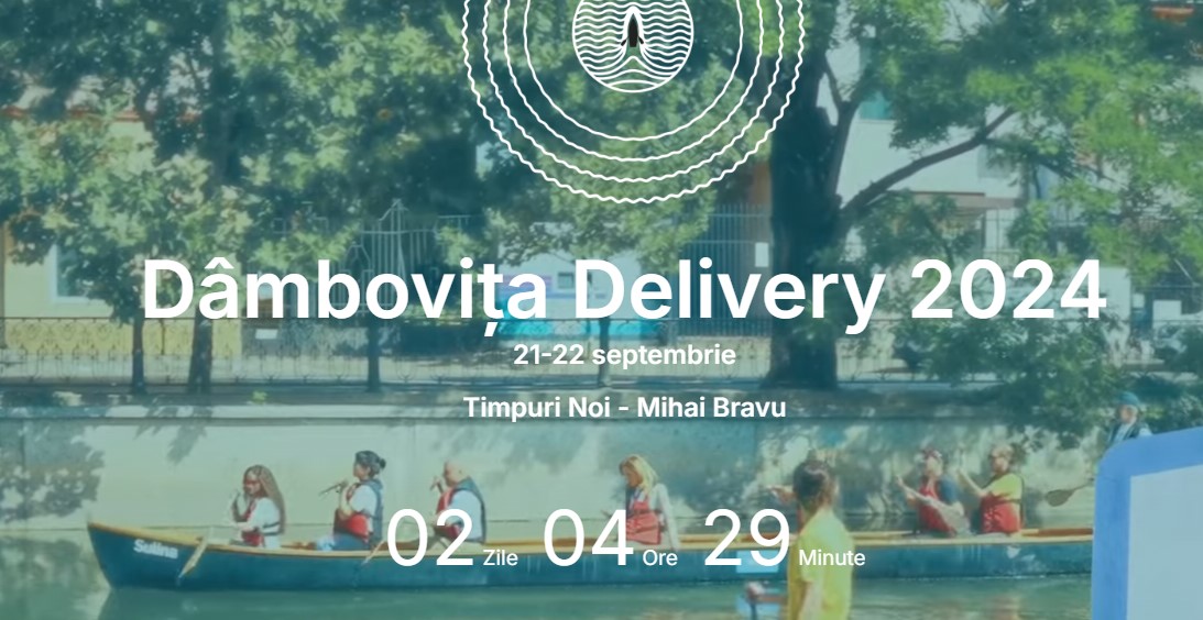 Dâmbovița Delivery 2024