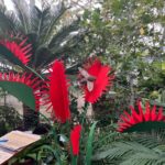 Expoziție de colecție la Gradina Botanică