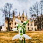 Târgul de Primăvară la Castelul Sturza - Miclauseni