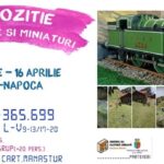 Expoziţie de trenuleţe şi miniaturi la Cluj-Napoca