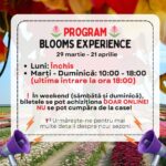 Blooms Experience