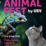 Animal Fest 2025