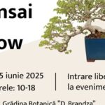 Bucharest Bonsai Show