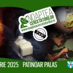 Noaptea certatatorilor UAIC